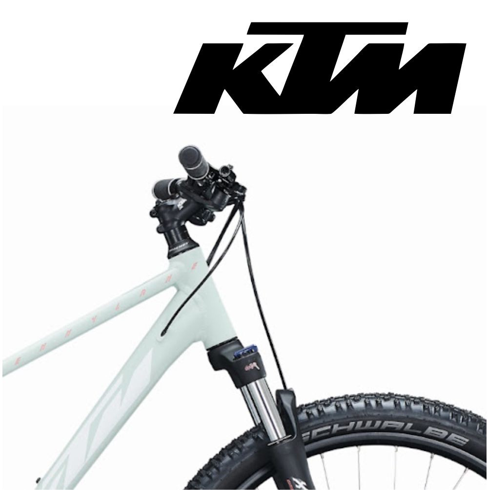 Bicicleta Ktm R29 Penny Lane Talle 17