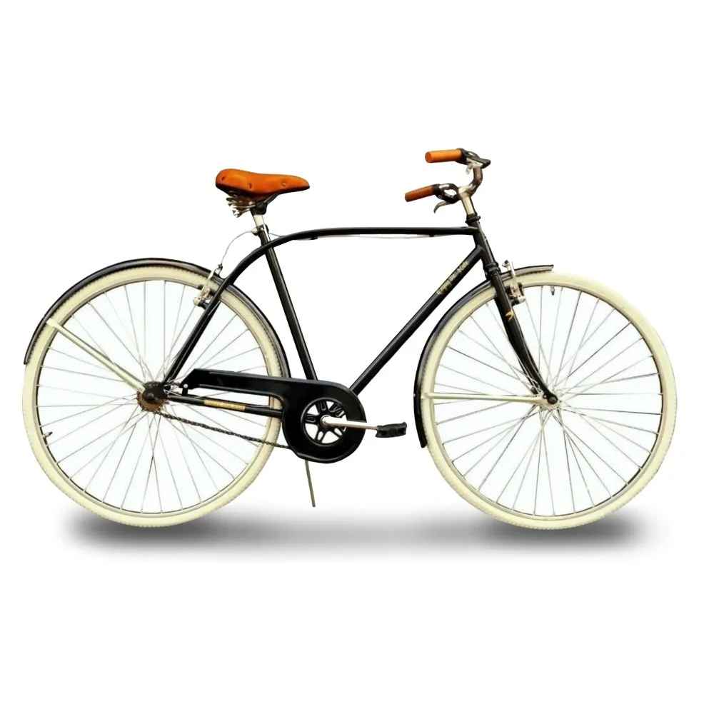 Bicicleta Dal Santo R26 Classic Vintage Hombre-Aaa19353