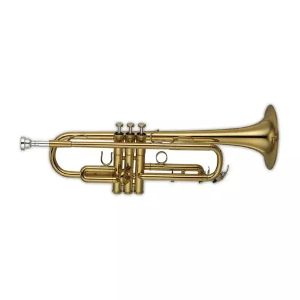 Trompeta Knight C Metal Dorado C/Estuche JBTR-700L