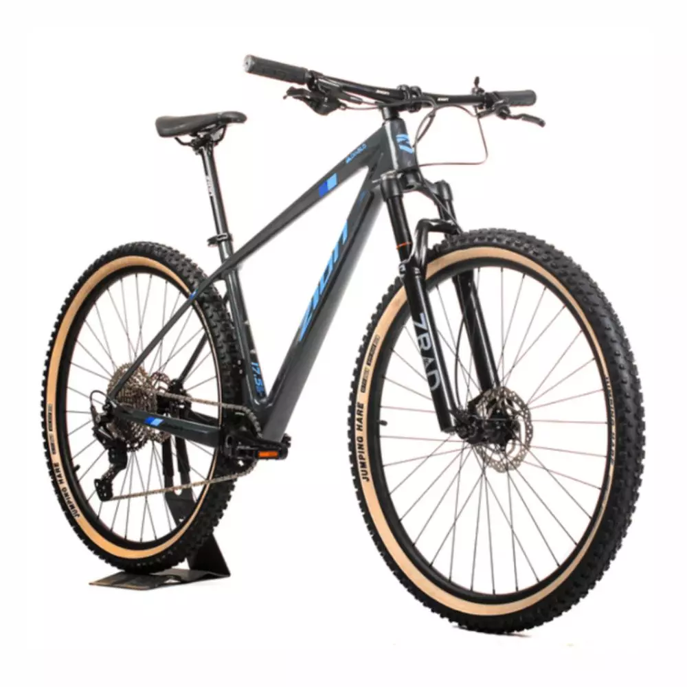 Bicicleta Zion Diablo II R29 Carbono MTB