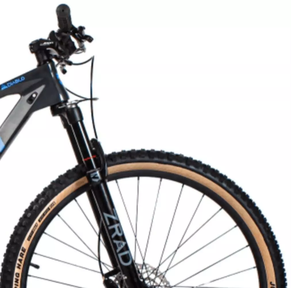 Bicicleta Zion Diablo II R29 Carbono MTB