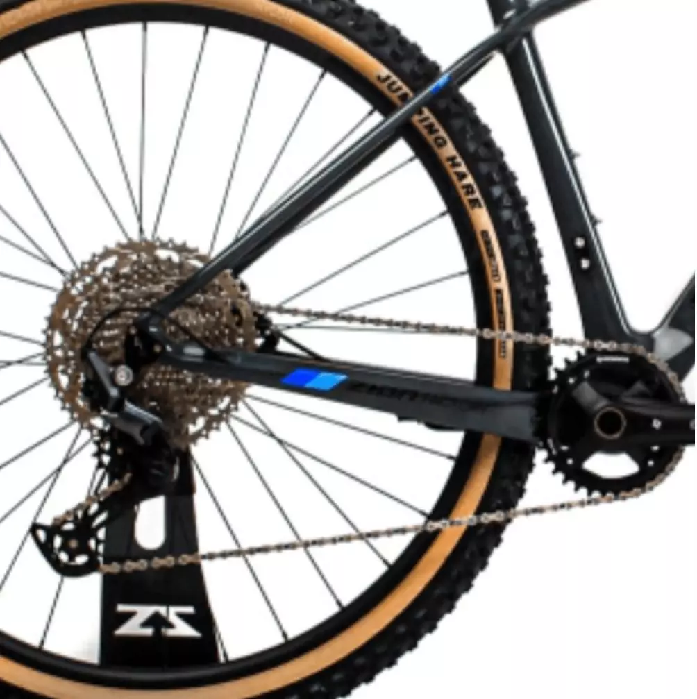 Bicicleta Zion Diablo II R29 Carbono MTB